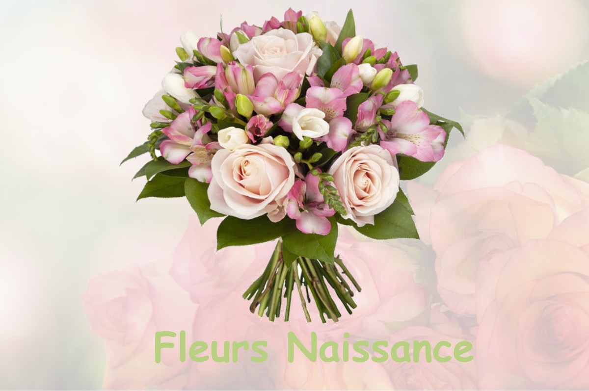 fleurs naissance SAINTE-ANASTASIE-SUR-ISSOLE